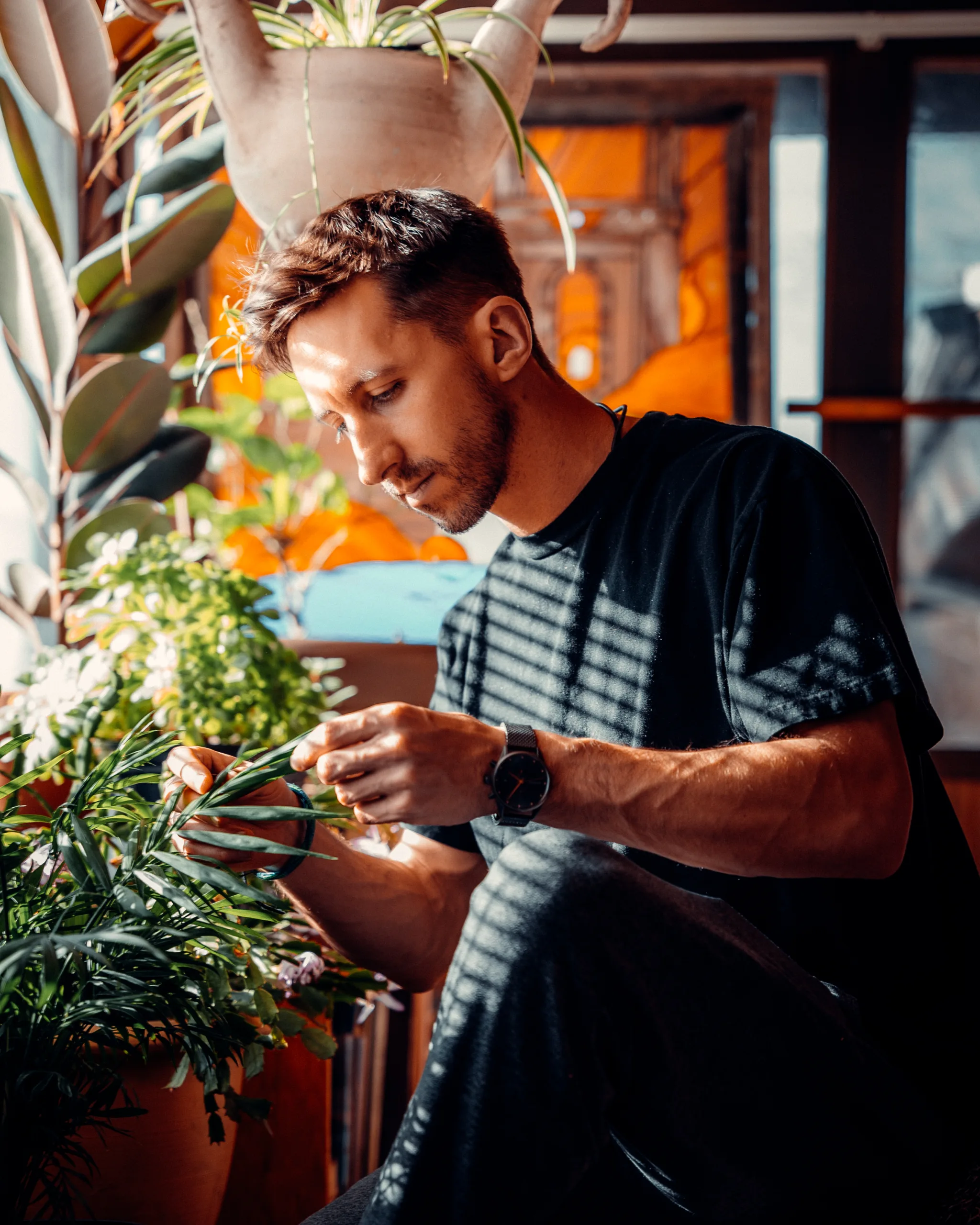 植物の種類